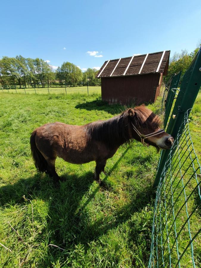 Garni Hotel Biebertal Am Milseburgradweg Hofbieber Eksteriør bilde